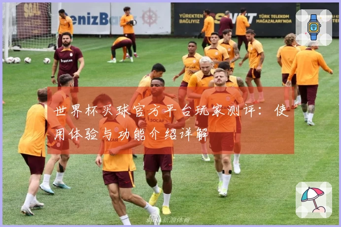 世界杯买球官方平台玩家测评：使用体验与功能介绍详解