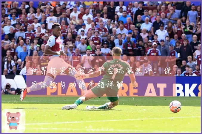 世界杯买球官方平台玩家测评:使用体验与功能介绍详解
