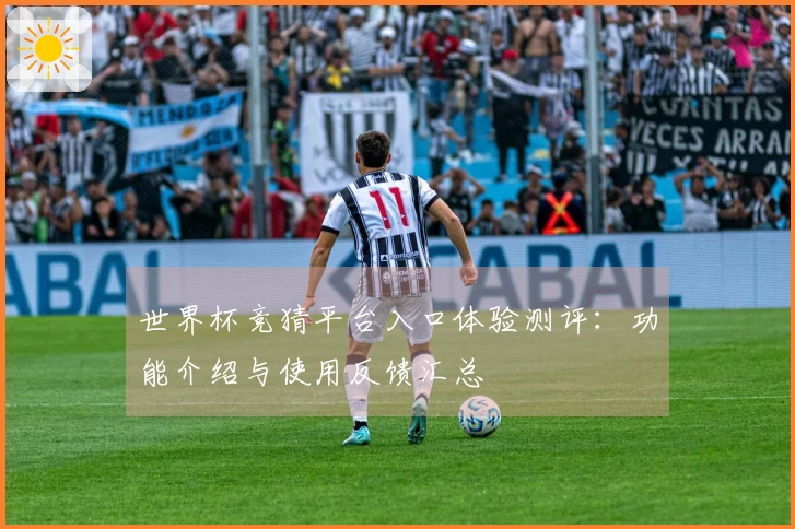 世界杯竞猜平台入口体验测评：功能介绍与使用反馈汇总